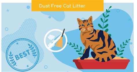 10 Best Dust Free Cat Litters In 2024 .